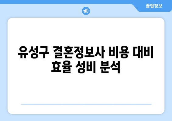 유성구 결혼정보사 비용 대비 효율 성비 분석