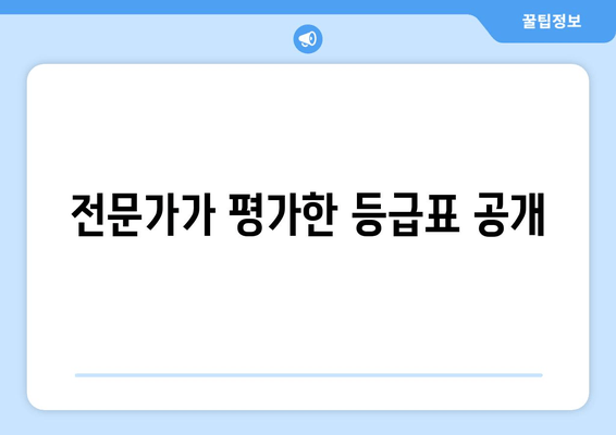 전문가가 평가한 등급표 공개