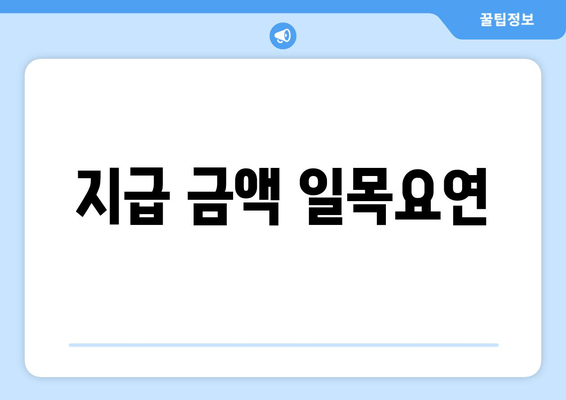 지급 금액 일목요연