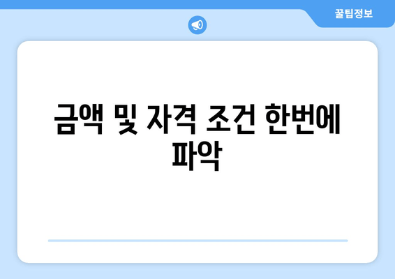 금액 및 자격 조건 한번에 파악