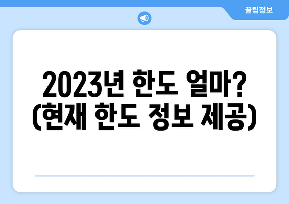 2023년 한도 얼마? (현재 한도 정보 제공)