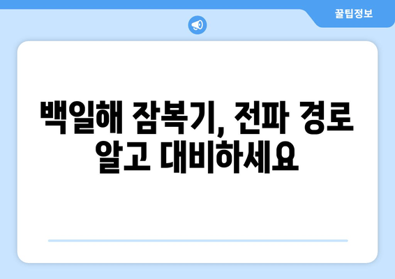 백일해 유행| 증상, 검사, 예방접종부터 잠복기, 전파 경로까지 완벽 가이드 | 백일해, 유행, 예방, 증상, 잠복기