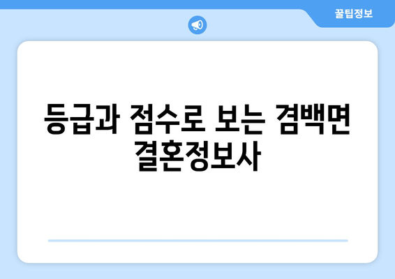 등급과 점수로 보는 겸백면 결혼정보사