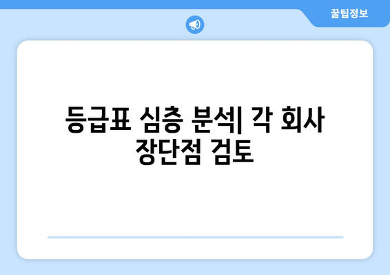 등급표 심층 분석| 각 회사 장단점 검토