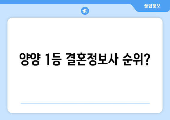양양 1등 결혼정보사 순위?
