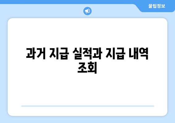 과거 지급 실적과 지급 내역 조회