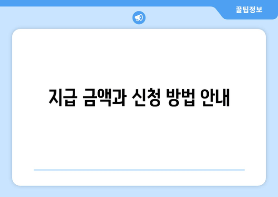 지급 금액과 신청 방법 안내