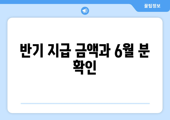 반기 지급 금액과 6월 분 확인