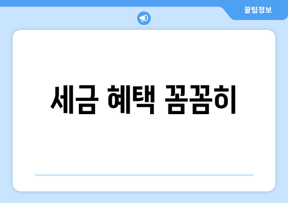 세금 혜택 꼼꼼히