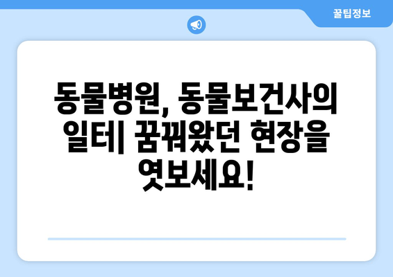 동물보건사 꿈나무를 위한 완벽 가이드| 근무 환경부터 자격증 취득까지 | 동물병원, 동물보건, 진로,  취업