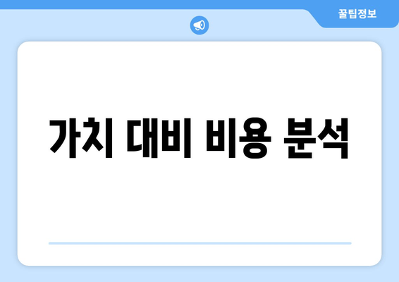 가치 대비 비용 분석