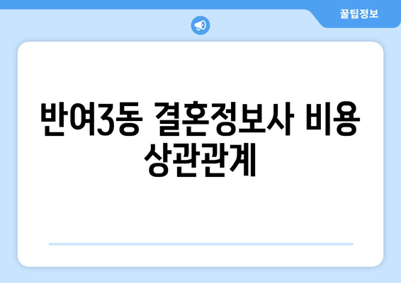 반여3동 결혼정보사 비용 상관관계