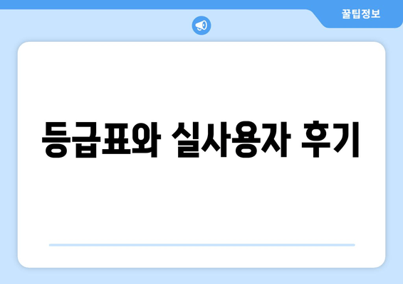 등급표와 실사용자 후기