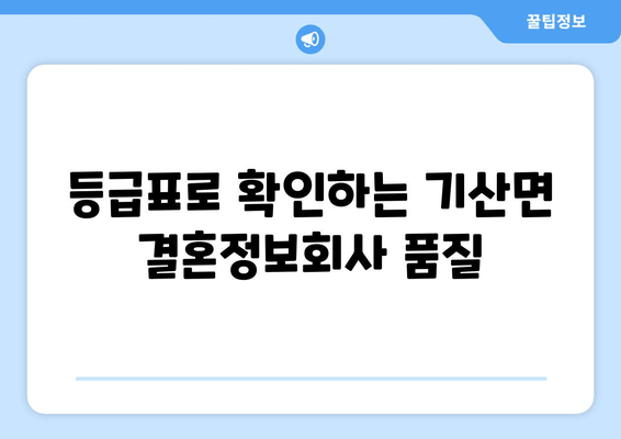 등급표로 확인하는 기산면 결혼정보회사 품질