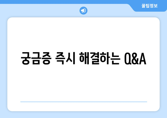 궁금증 즉시 해결하는 Q&A