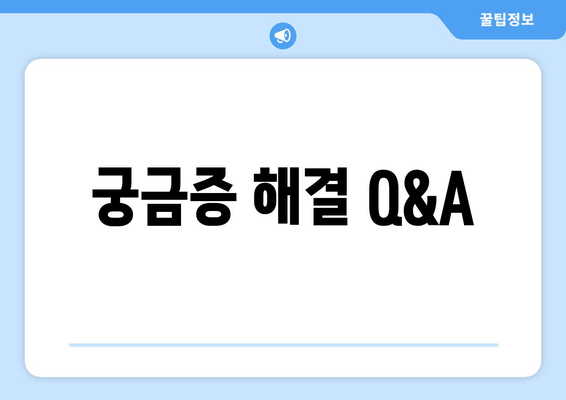 궁금증 해결 Q&A