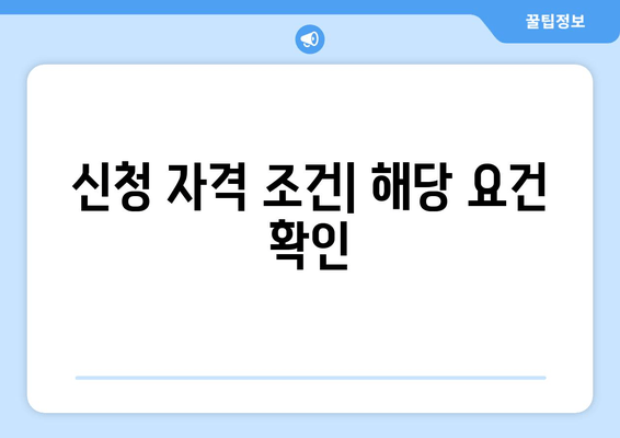 신청 자격 조건| 해당 요건 확인