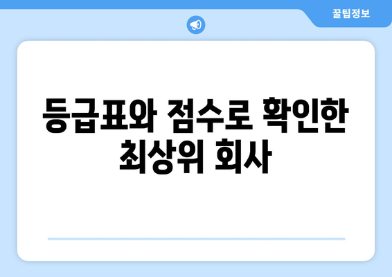 등급표와 점수로 확인한 최상위 회사