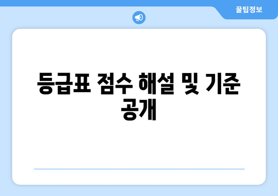 등급표 점수 해설 및 기준 공개