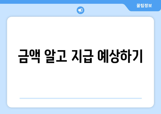 금액 알고 지급 예상하기