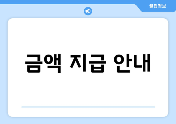 금액 지급 안내