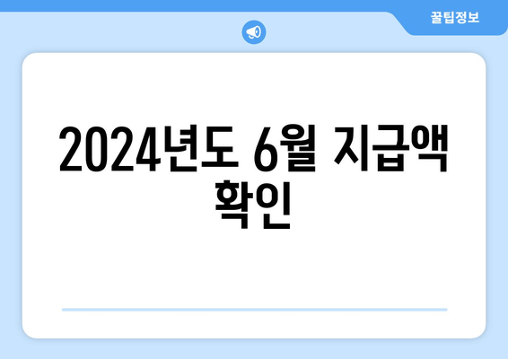 2024년도 6월 지급액 확인