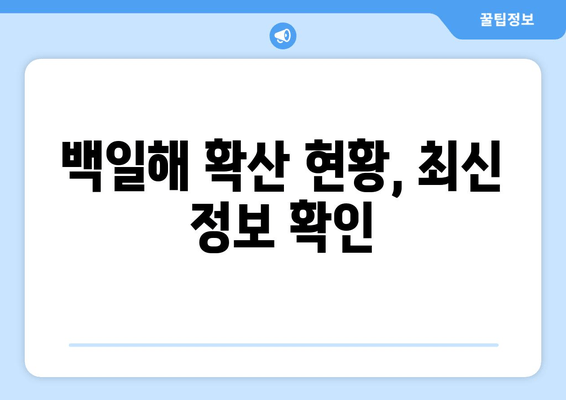 백일해, 성인도 안전할까? 증상과 예방접종 확산 현황 업데이트 | 백일해 증상, 성인 백일해, 백일해 예방접종, 백일해 확산