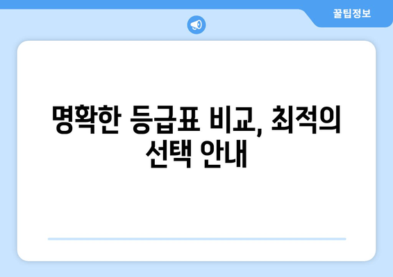 명확한 등급표 비교, 최적의 선택 안내