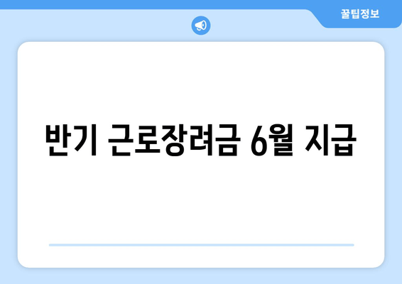 반기 근로장려금 6월 지급