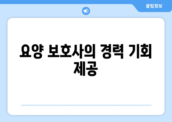 요양 보호사의 경력 기회 제공