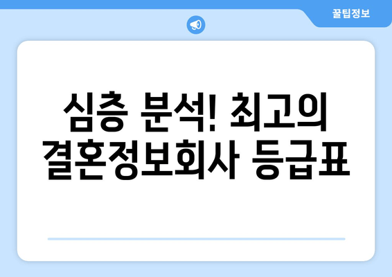 심층 분석! 최고의 결혼정보회사 등급표