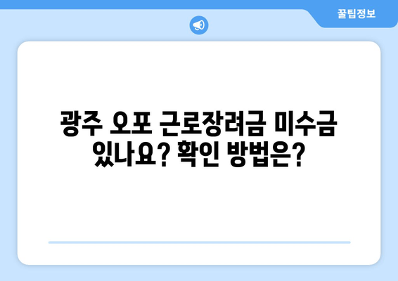 광주 오포 근로장려금 미수금 있나요? 확인 방법은?