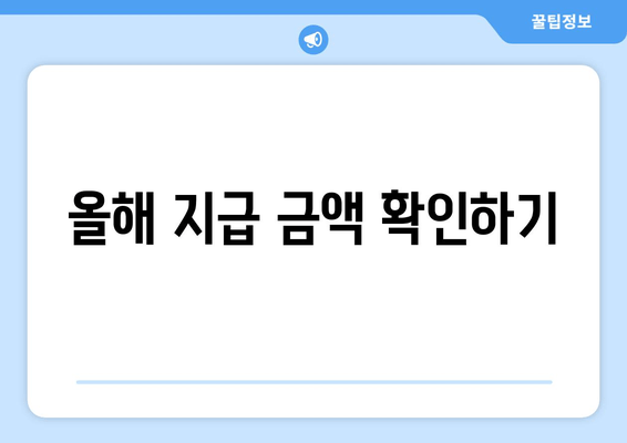 올해 지급 금액 확인하기