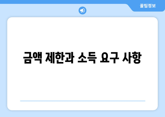 금액 제한과 소득 요구 사항