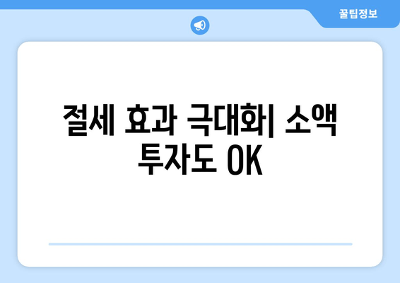 절세 효과 극대화| 소액 투자도 OK