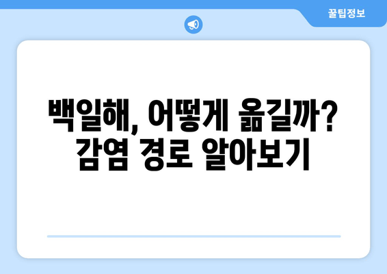 백일해 증상| 흡인성 폐렴, 뇌막염 등 위험한 합병증 주의 | 백일해 예방 접종, 감염 경로, 치료