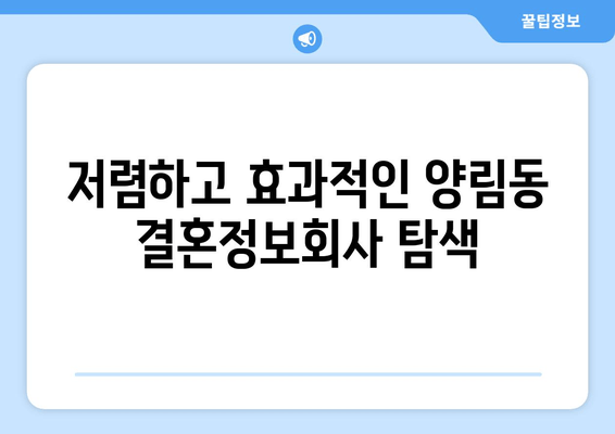 저렴하고 효과적인 양림동 결혼정보회사 탐색