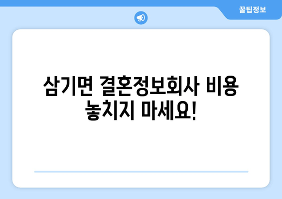 삼기면 결혼정보회사 비용 놓치지 마세요!