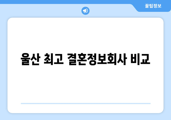 울산 최고 결혼정보회사 비교