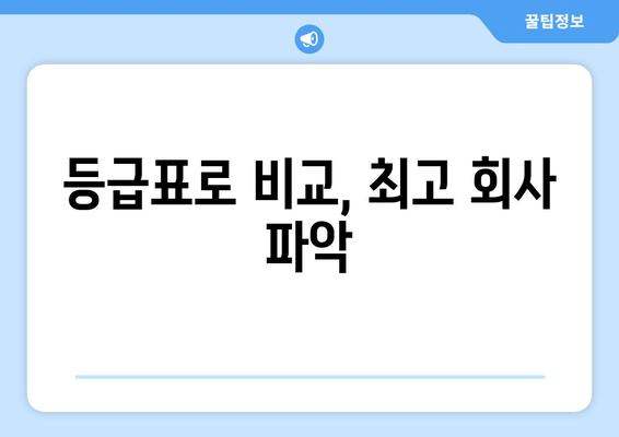 등급표로 비교, 최고 회사 파악