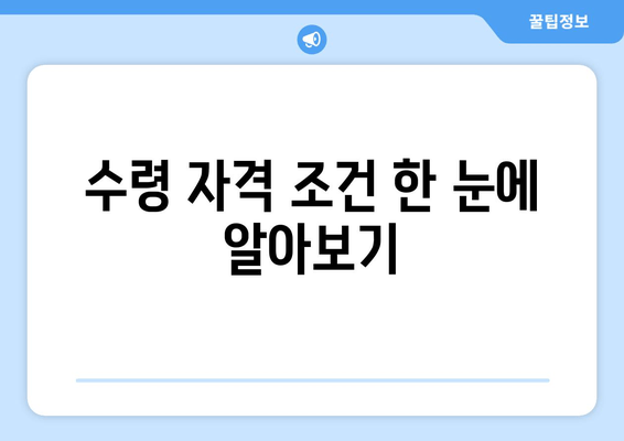 수령 자격 조건 한 눈에 알아보기