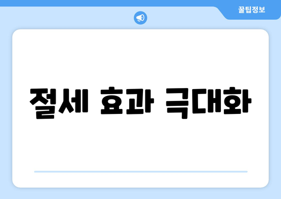 절세 효과 극대화