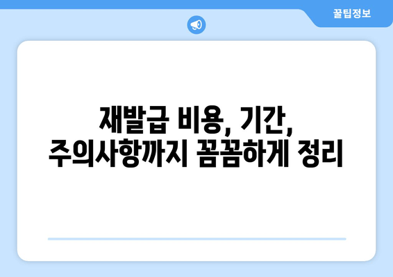 보육교사 자격증 재발급 완벽 가이드| 1급, 2급 재발급 방법 총정리 | [재발급 안내]