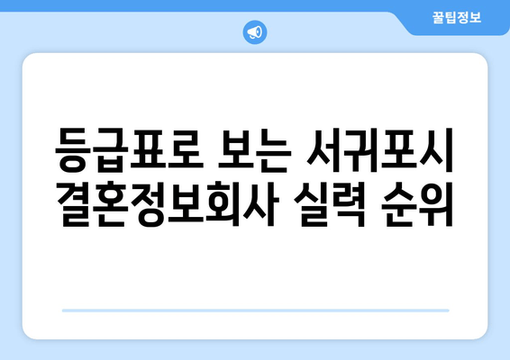 등급표로 보는 서귀포시 결혼정보회사 실력 순위