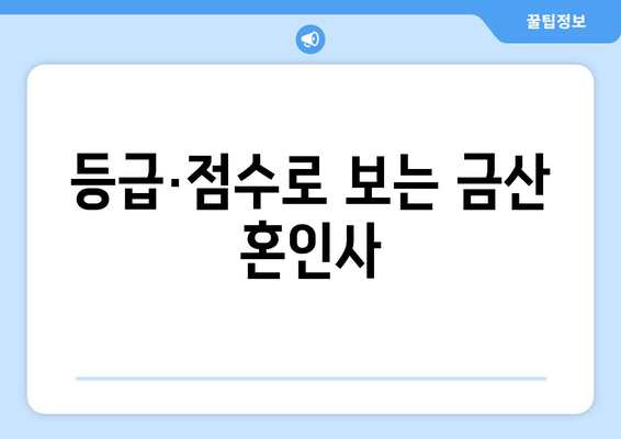 등급·점수로 보는 금산 혼인사