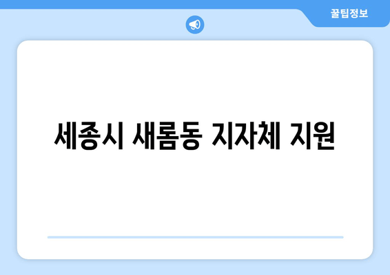 세종시 새롬동 지자체 지원