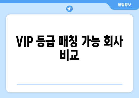 VIP 등급 매칭 가능 회사 비교