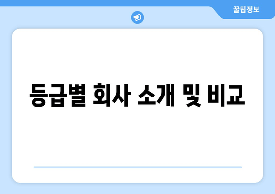 등급별 회사 소개 및 비교