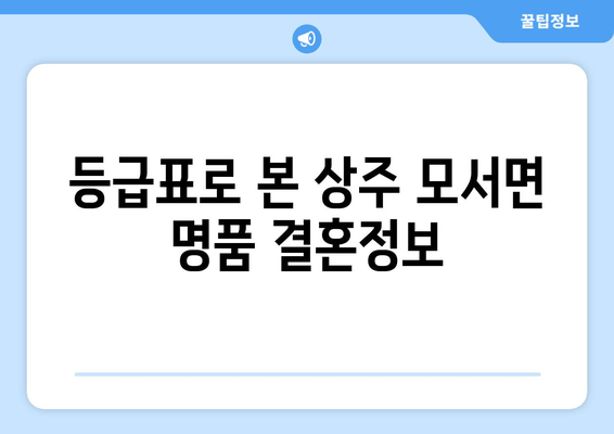 등급표로 본 상주 모서면 명품 결혼정보