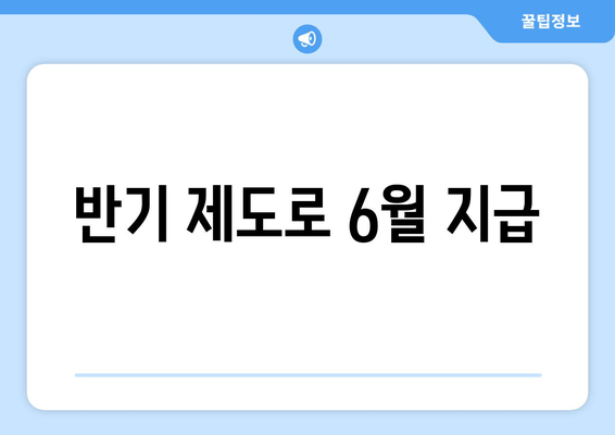 반기 제도로 6월 지급